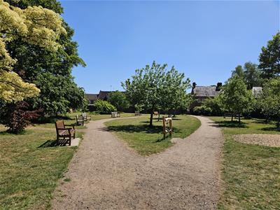 Picture 21